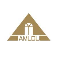 Amin Mohammad Group Logo